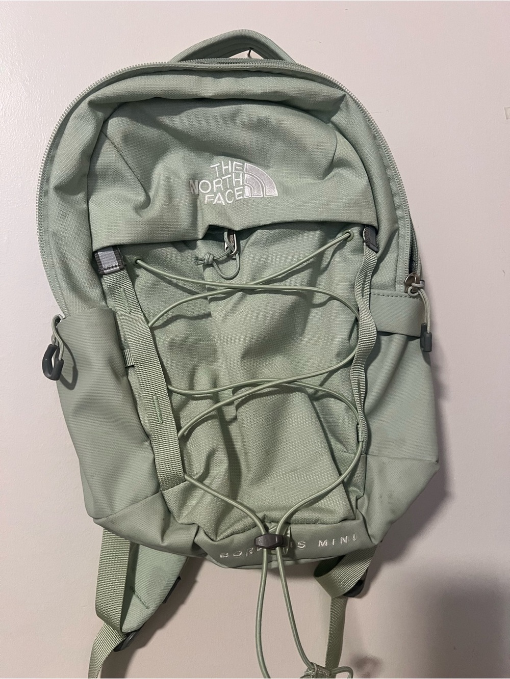The North Face Mini Backpack in Sage Green